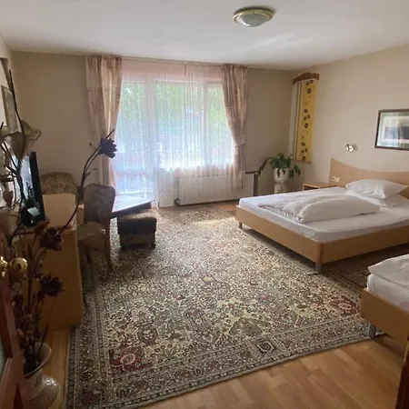 Family Zdravets Hotel 2*